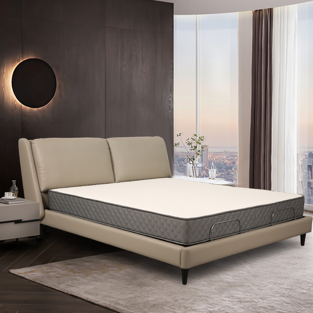 European Classic Fashion Metal Frame Zero Gravity Smart Bed LE6013