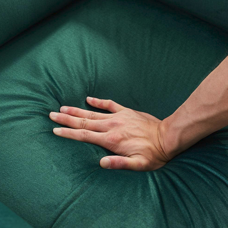 Assisted Standing Electric Function Elderly Single Chair LE2001