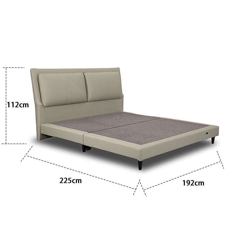 Elegant Green Plump Headrest Metal Frame Zero Gravity Smart Bed LE6002