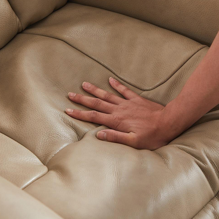 Electric Leather Liftable Recliner for The Elderly with Wire Control LE2015