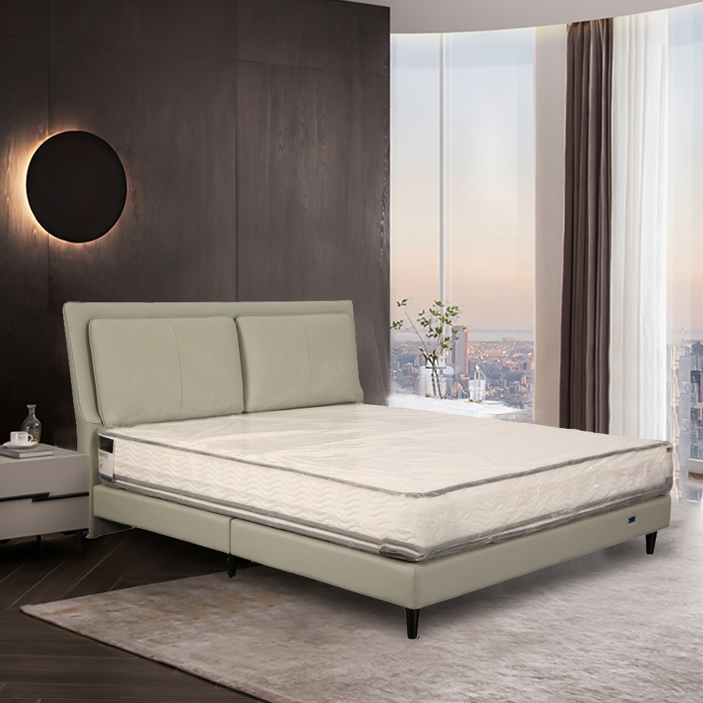 Elegant Green Plump Headrest Metal Frame Zero Gravity Smart Bed LE6002