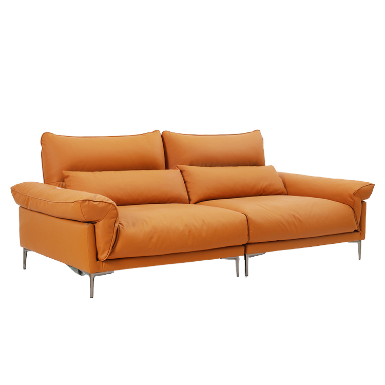Double-seat Casual Multi-function Combination Sofa LE7009
